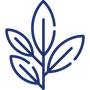 Tea Leaves